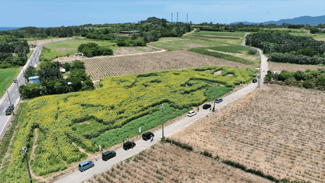 Aerial view of a vast farmland with roads