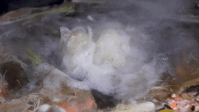 Boiling vegetable and seafood broth with rising foam