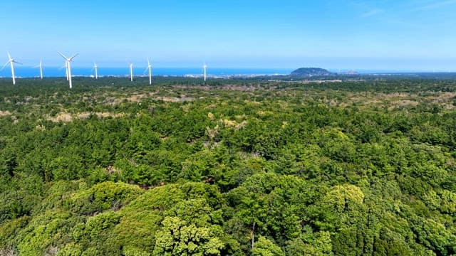 Wind turbines over a lush green forest