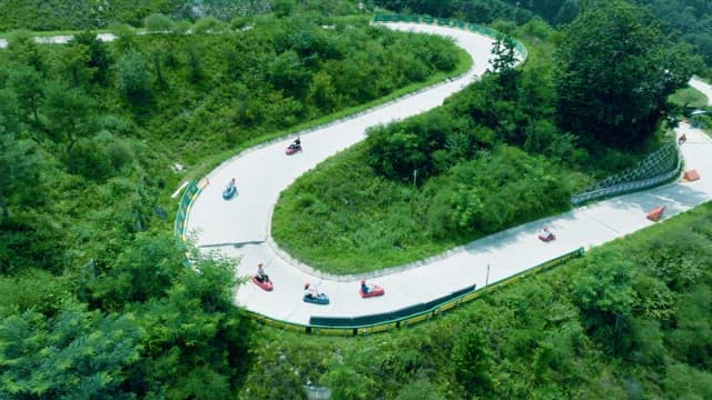 People on Luges Having Fun Running on a Winding Track