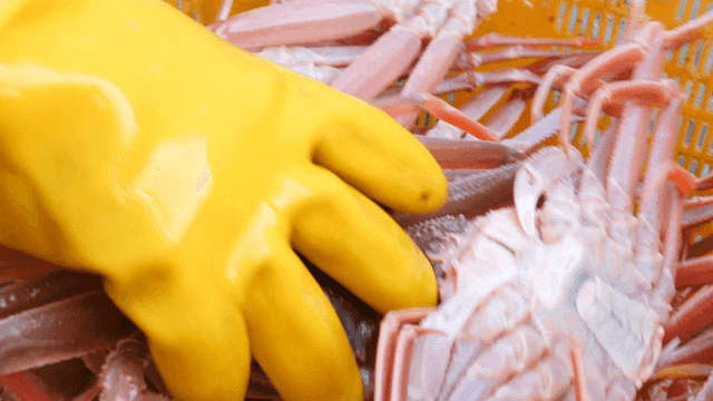 바구니에 담긴 갓 잡은 게