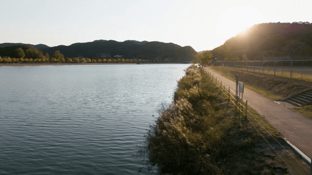 해질녘 가을 나무가 있는 강변 길