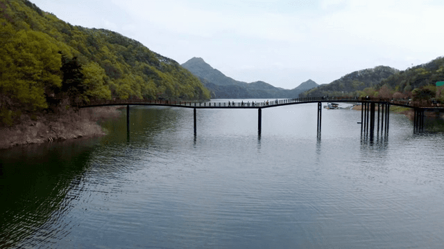 Scenic bridge over a tranquil lake