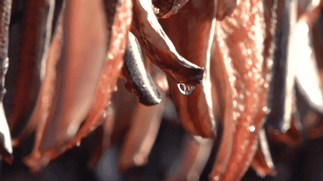 Sun-dried gwamegi with oil droplets