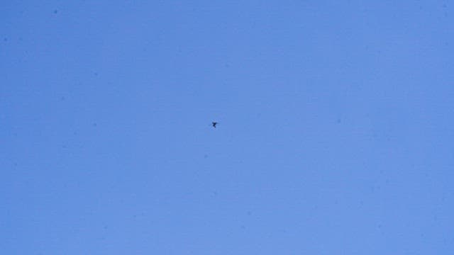 맑은 푸른 하늘을 고요하게 날아다니는 행글라이더