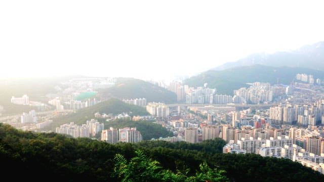 Overlooking a Vibrant Cityscape from the Hills