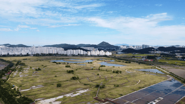 Wide field with apartments visible in distance