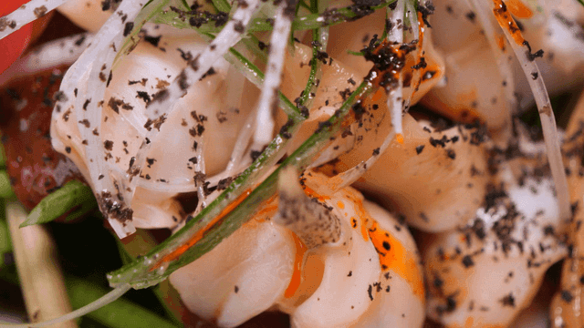 Fresh seasoned whelk and colorful vegetables