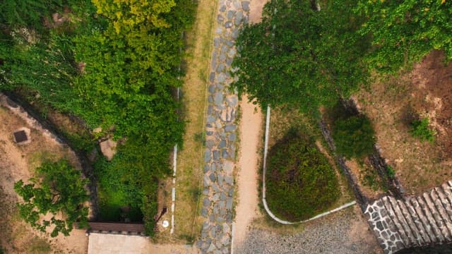 푸른 숲길의 항공 뷰