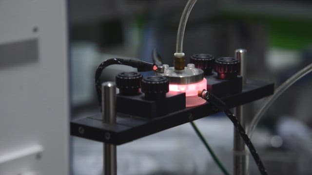 실험실에서 증기로 소독되는 생닭