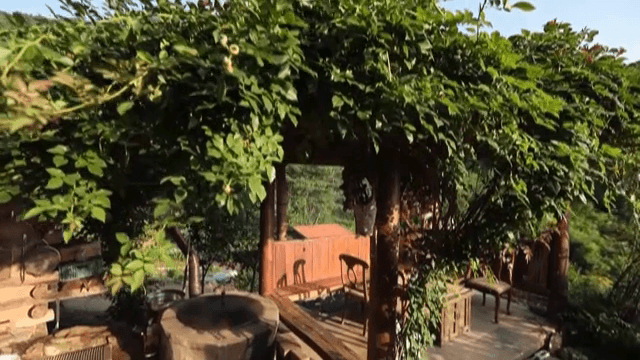 푸른 숲 속의 평화로운 시골집