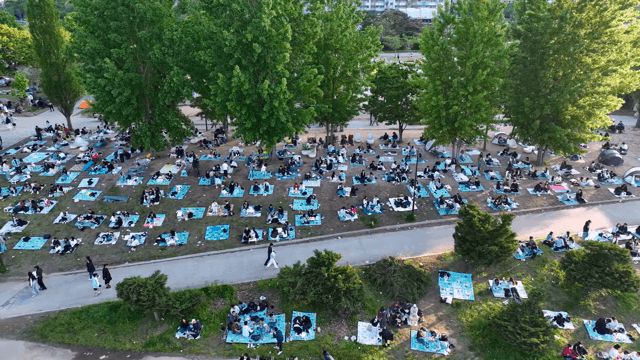 공원에서 피크닉을 즐기는 사람들