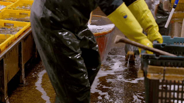 Water overflowing in a fish market