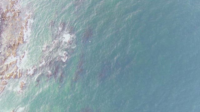 파도가 바위 해안에 부딪히는 모습