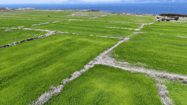 Expansive green fields by the sea
