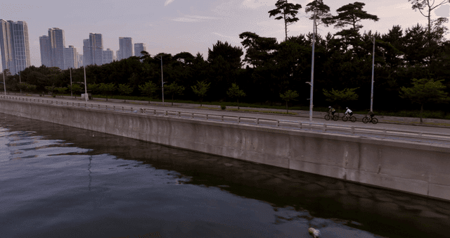 해안 도로를 따라 자전거를 타는 사람들