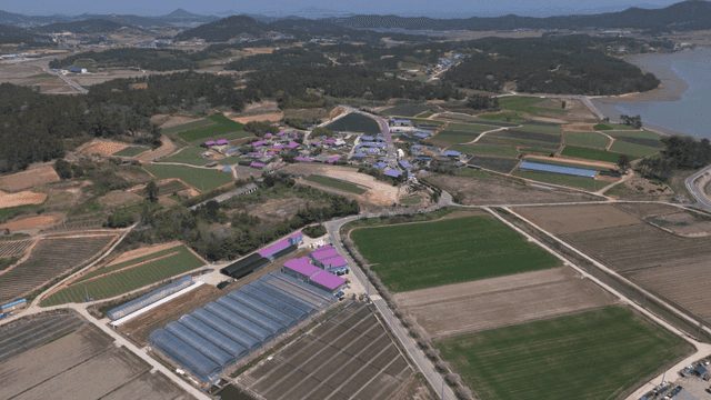 Rural village surrounded by farmland