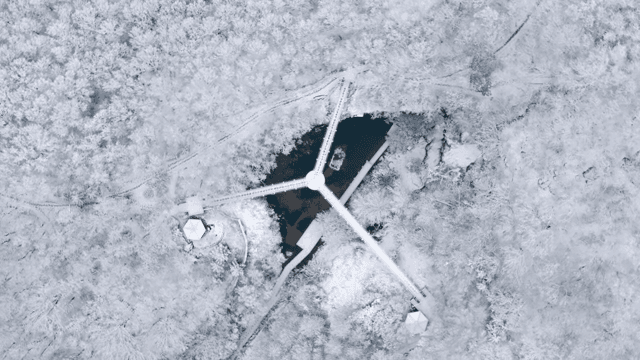 중앙 연못이 있는 눈 덮인 숲