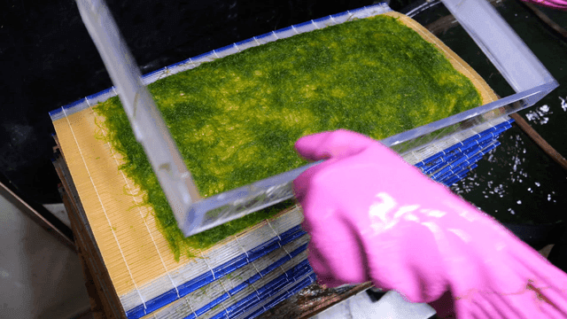 Seaweed placed on bamboo mat