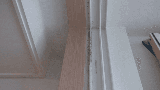 곰팡이가 핀 창틀의 클로즈업