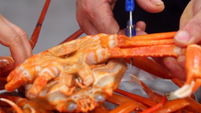 Crab legs being cut with scissors