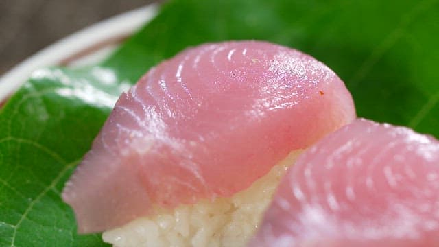 Fresh tuna sushi on a green leaf