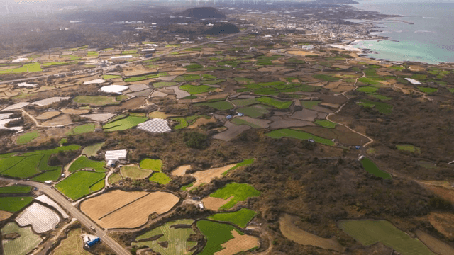 해안 옆 제주도의 드넓은 농지