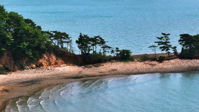 Coastal Landscape with Trees and Clear Waters