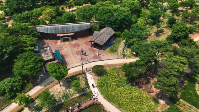 경치 좋은 공원에서 나무 산책로를 걷는 사람들