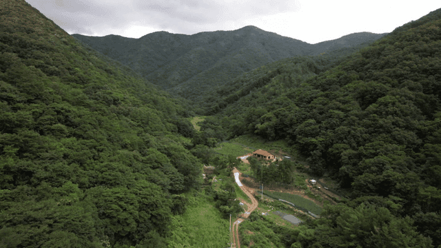 작은 집이 있는 푸른 계곡