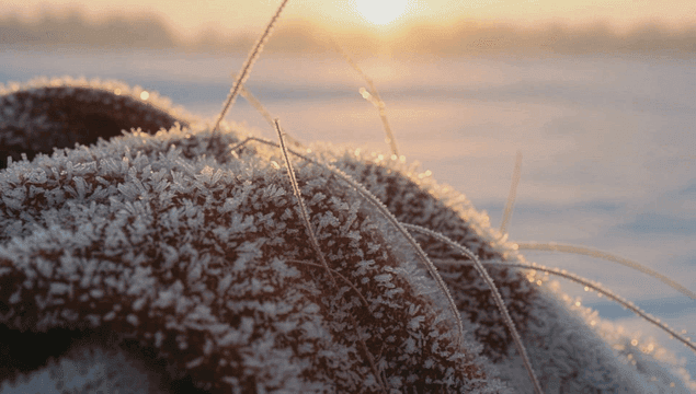 일출 속 서리 덮인 천