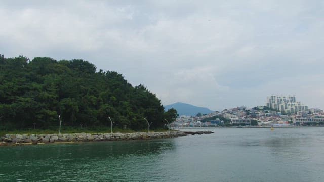 Coastal view with forest and cityscape