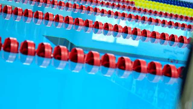 Empty swimming pool with lane dividers