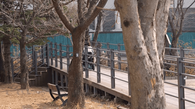 공원 산책길에서 휠체어를 탄 사람