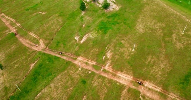 People riding horses on a dirt path