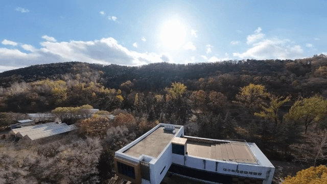 멀리 도시가 보이는 가을 숲