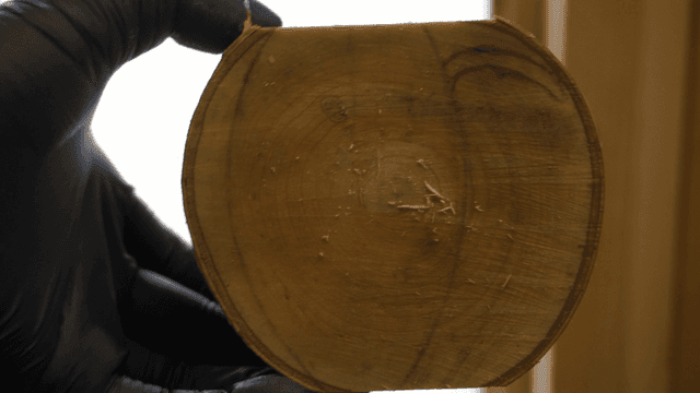 나무 조각을 들고 있는 장갑 낀 손