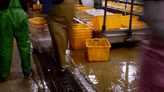 Workers sorting fish in a wet market