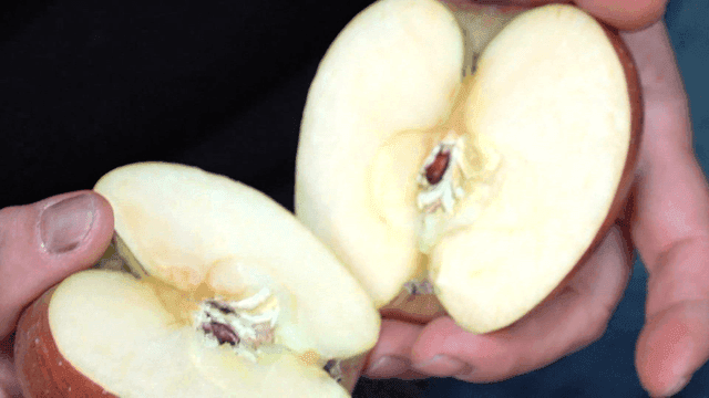 Cross section of halved apple