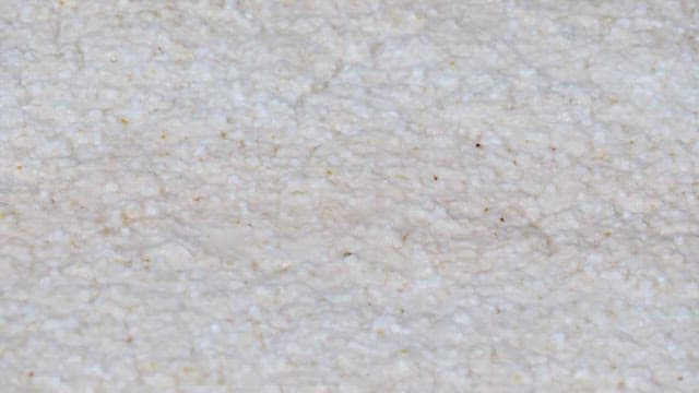 발효되고 있는 누룩의 표면