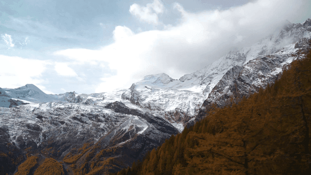 Snow-capped mountains with autumn trees