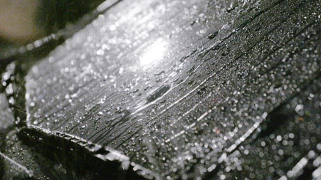 밤에 차 앞 유리에 내리는 비