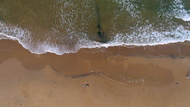 Sea Waves on Sandy Shore