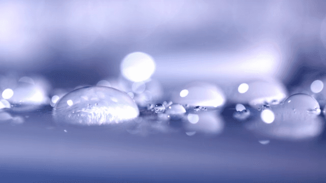 청보라색 표면 위 물방울