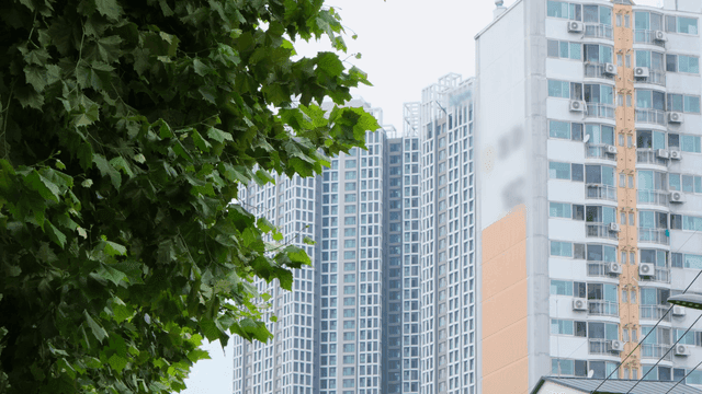 Green leaves and high-rise apartments