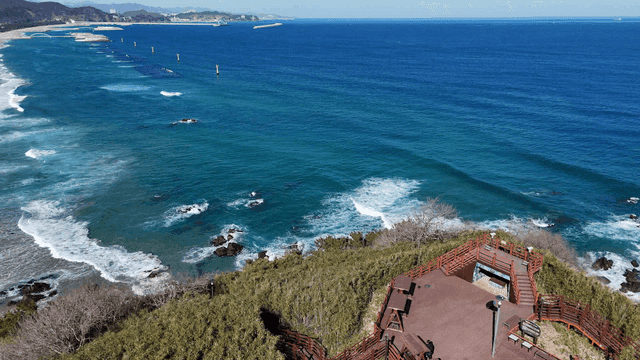 Coastal scenery with lush vegetation