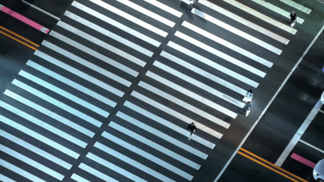 밤에 횡단보도를 건너는 사람들