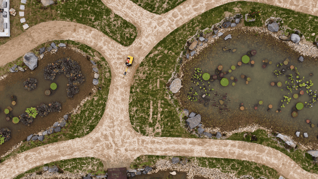 다양한 수초가 자라는 작은 연못들이 있는 공원