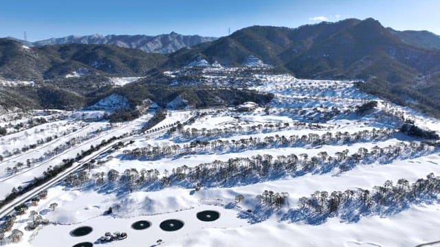 눈 덮인 산맥과 소나무 풍경