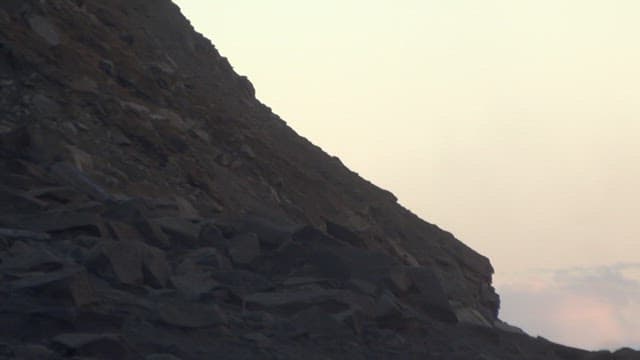 절벽에서 굴러 떨어지는 동물